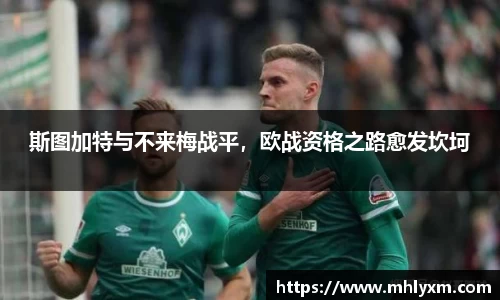 金年会