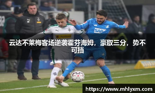 金年会