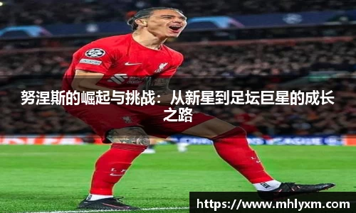jinnianhui金年会